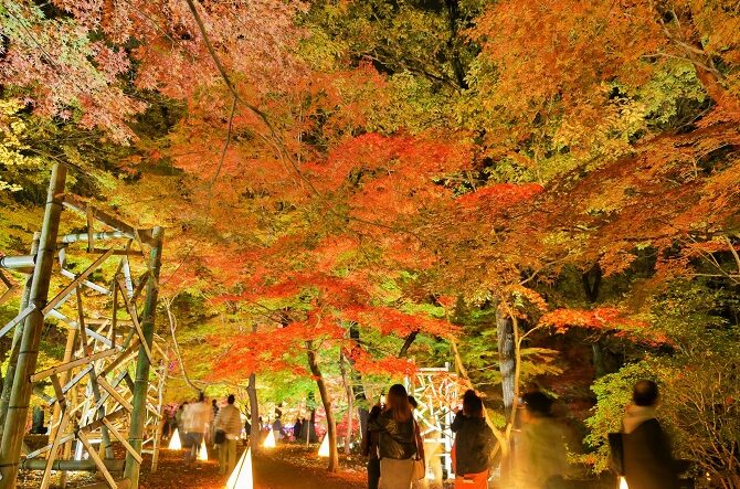 【2025】埼玉県の紅葉名所おすすめ14選！見頃と平林寺や長瀞岩畳などの秋絶景も