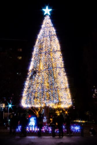ノリタケの森 クリスマスガーデン