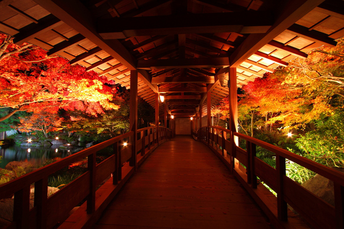 姫路城西御屋敷跡庭園 好古園