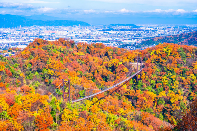 大阪府民の森 ほしだ園地