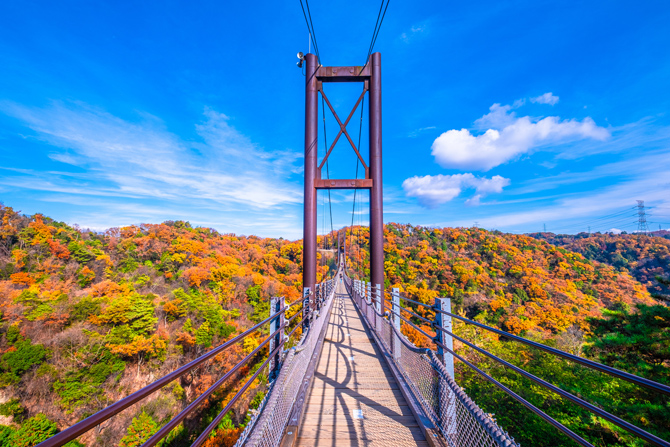 大阪府民の森 ほしだ園地