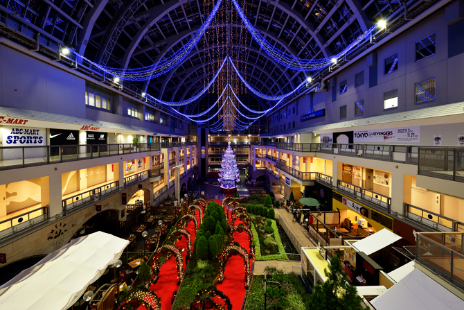 クリスマスツリー、大きいです。お店や施設、天井が広いお宅に。