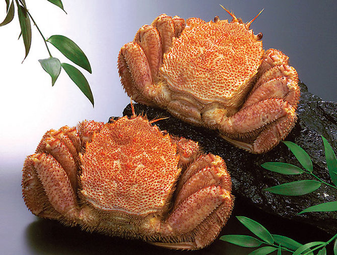 （画像提供：丸み佐藤商店）