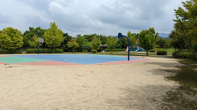 （画像提供：和泉市）