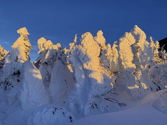 志賀高原 横手山・渋峠スキー場