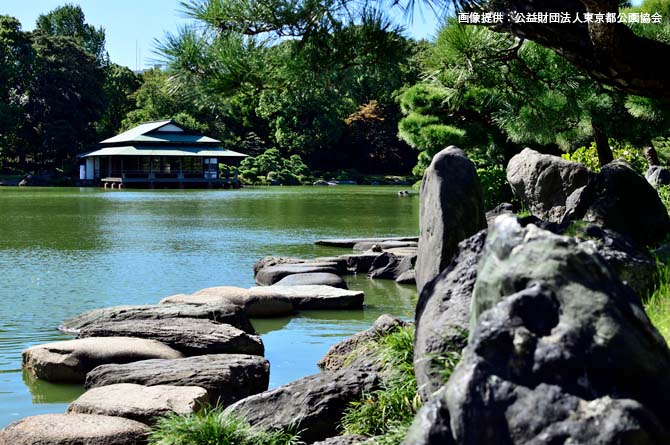 都内の美しい「日本庭園」6選。枯山水や池泉庭で季節を感じよう【東京