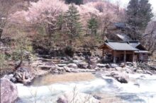 桜が美しい「お花見温泉」15選！露天風呂から春絶景を贅沢に満喫＜2026・全国＞