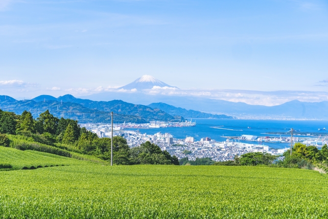 全景の茶の間