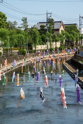 うずまの鯉のぼり