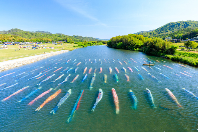 佐波川 佐波川こいながし