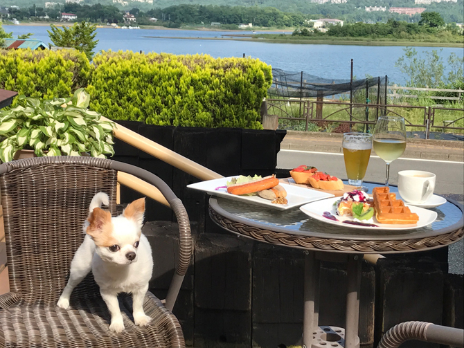 カフェ＆オーベルジュ里休