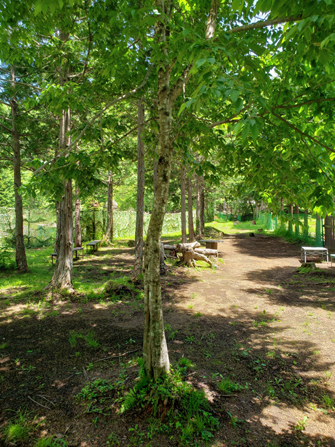 Dogs Garden WILDPARK
