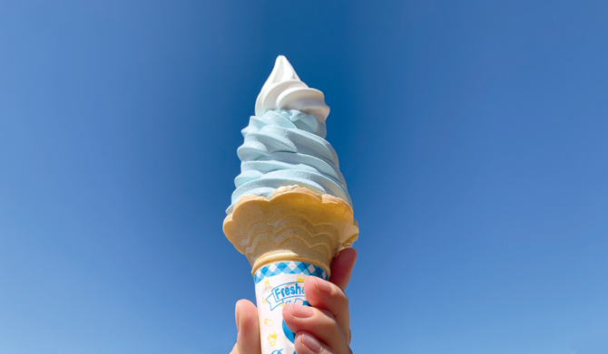 Gateway Fujiyama 河口湖駅店