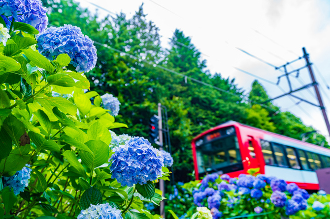 箱根登山鉄道