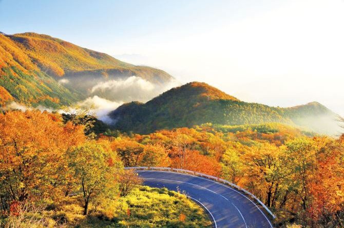 【関東】秋の絶景24選！赤く染まる名所の紅葉、黄金に光る景色が美しい＜2025＞