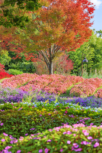 奈良県営馬見丘陵公園