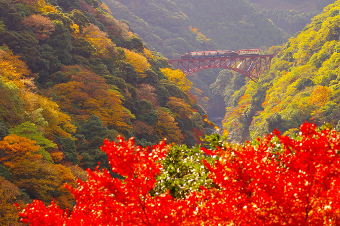 南阿蘇鉄道トロッコ列車