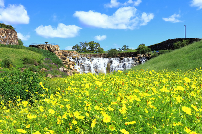 国営讃岐まんのう公園