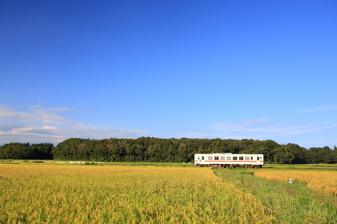 ひたちなか海浜鉄道