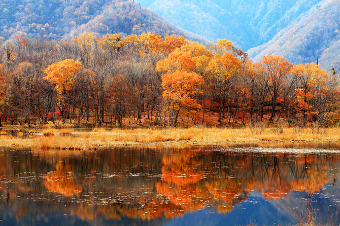 観音沼森林公園