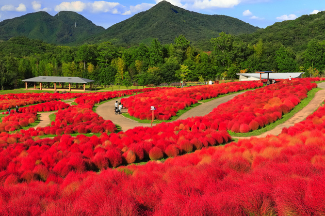 国営讃岐まんのう公園