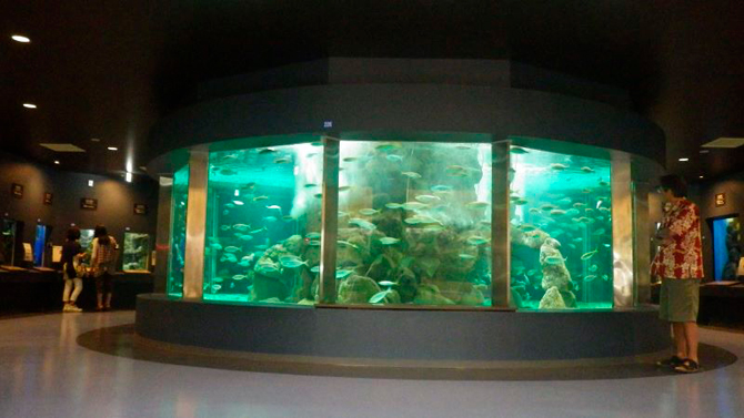 京都大学白浜水族館
