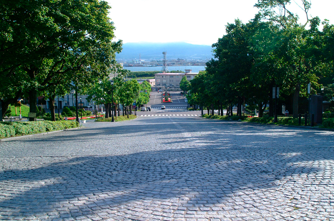 (画像提供:函館国際観光コンベンション協会)