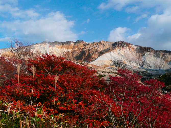 （画像提供：函館市観光部観光誘致課）