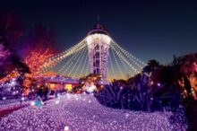 【関東】冬のデートスポット22選！カップルのおでかけにおすすめ＜2025＞