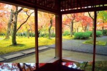 冬に行きたい関東のおすすめスポット15選！東京からの日帰り旅行にも＜2025-20…