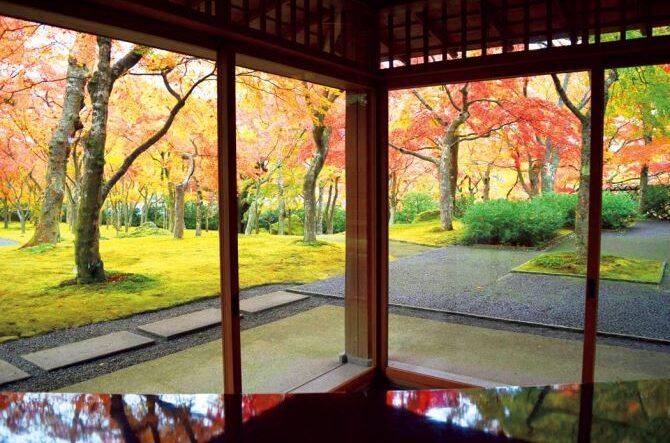 冬に行きたい関東のおすすめスポット15選!東京からの日帰り旅行にも<2025-2026>