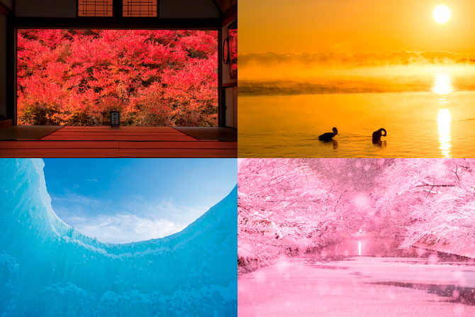オレンジと黄色の熱海楓景　名有 11月16日は“いいいろ”の日！圧倒的に美しい秋冬の色鮮やかな絶景