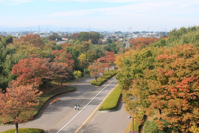 （画像提供：熊谷スポーツ文化公園管理事務所）