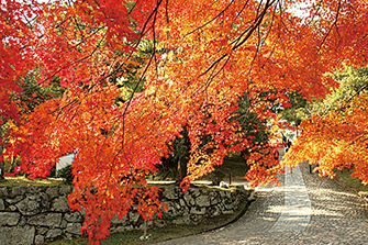 上野公園