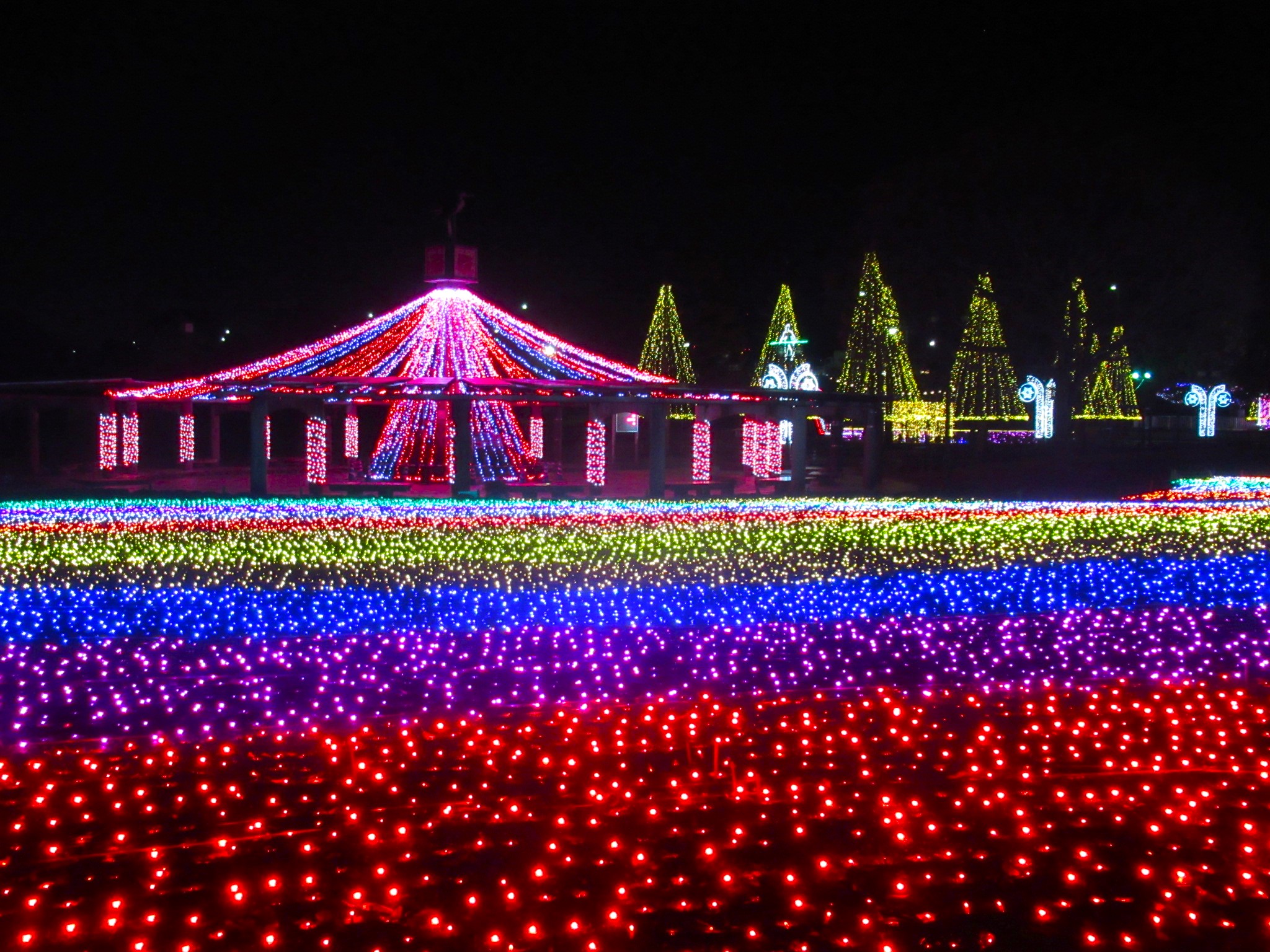 2024】東海近郊のイルミネーション33選！カップルのデートにもおすすめ