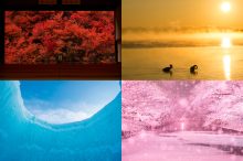 11月16日は“いいいろ”の日！圧倒的に美しい秋冬の色鮮やかな絶景12選【全国】