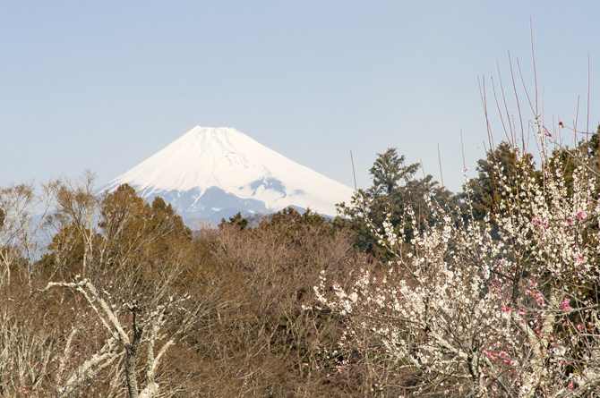 修善寺自然公園