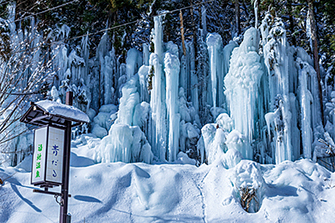 青だるライトアップ