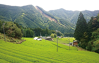 大沢 縁側カフェ