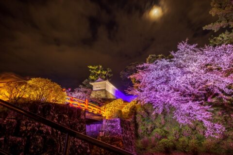 【関東・2024】夜桜・ライトアップが楽しめる桜名所14選!夜のお花見を楽しもう |じゃらんニュース