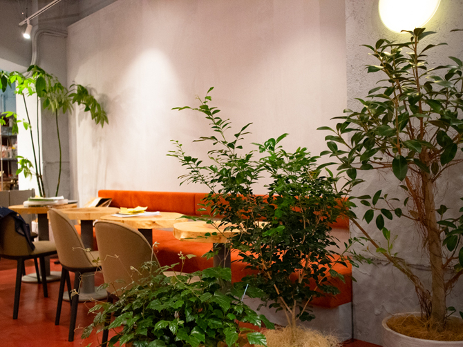 WPU CAFE & CRAFTBEER DINER