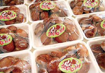 星のふる里 ふじはし