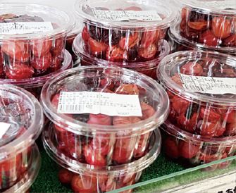 道の駅 うすずみ桜の里・ねお