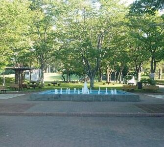 安平町ときわ公園
