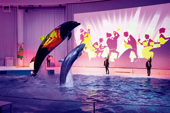 アクアワールド 茨城県大洗水族館