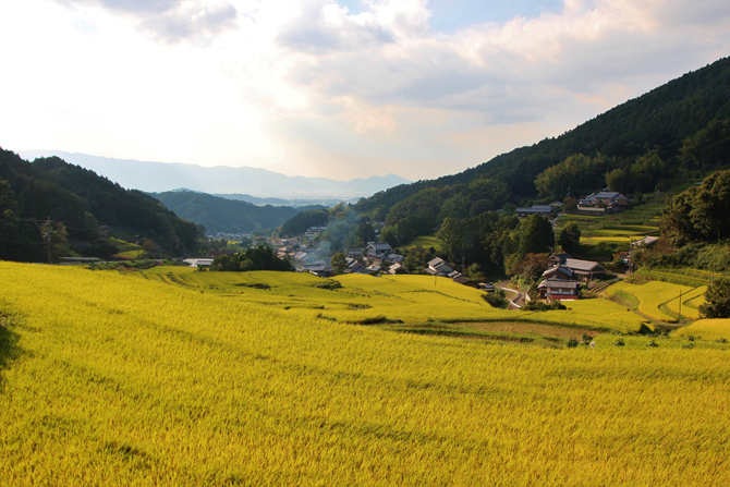 明日香村