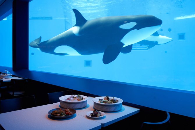 日本で3館目のシャチがいる水族館「神戸須磨シーワールド」がオープン