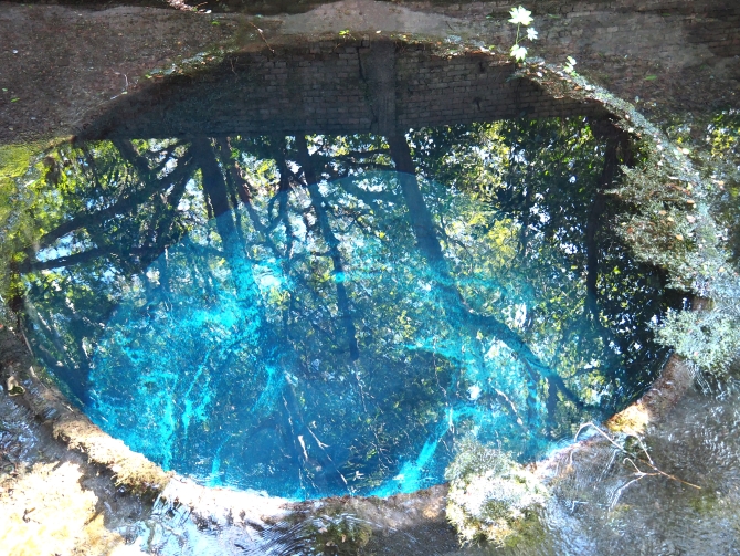 柿田川公園「第二展望台」