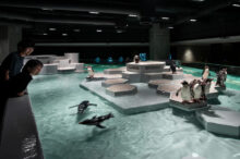 札幌中心部にある都市型水族館！知らない海の世界に出会える「AOAO SAPPORO…