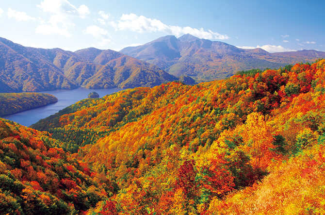 【東北旅行】秋のおすすめ観光スポット22選！紅葉や絶景を満喫＜2025＞